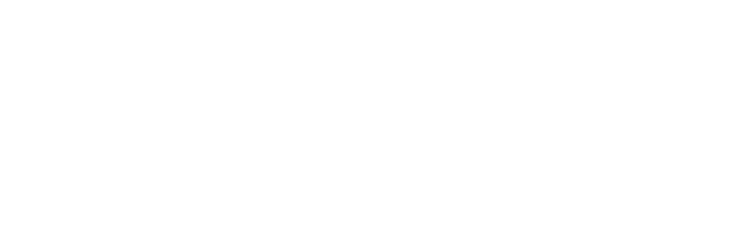 logo_salzgitter